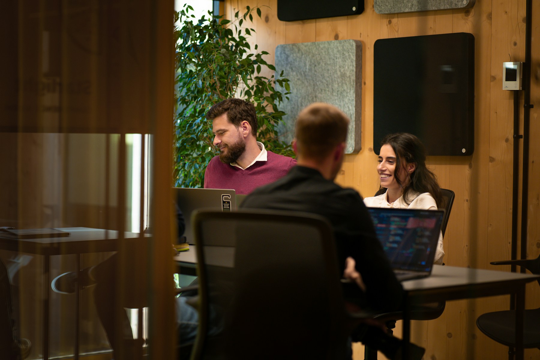 Software development workspace